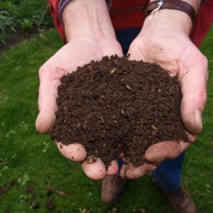 An upclose picture of hands holding certified organic compost. Background of grass.