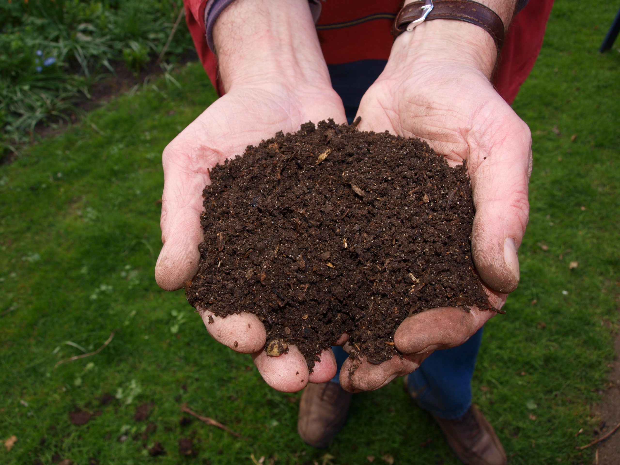 estoy de acuerdo con Percepción Abrumador Bulk Organic Compost - Madison Earth Care - Madison, CT