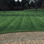A large, dark green lawn extending to a tree line against a patio of brick pavers. Grass grown with Jonathan Green grass seed.
