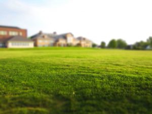 October Guide to Lawn Care & Seeding