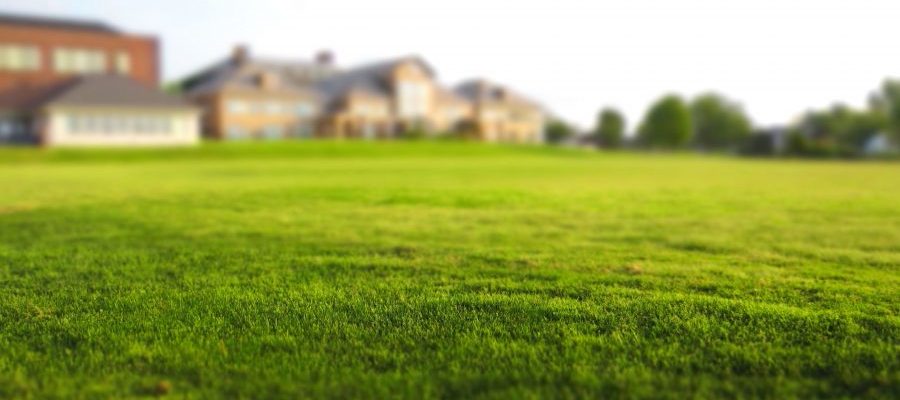 October Guide to Lawn Care & Seeding
